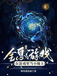 全息游戏文小说